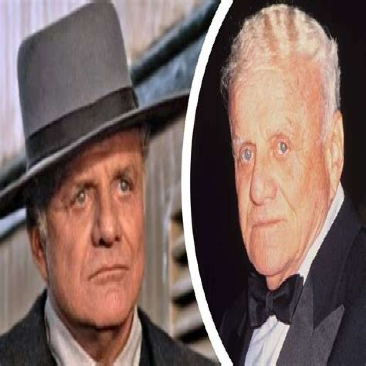 
Brian Keith Cause of Death, How did Brian Keith Die? 
