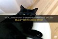 Can a Bombay cat have green eyes? – Janet-Panic.com