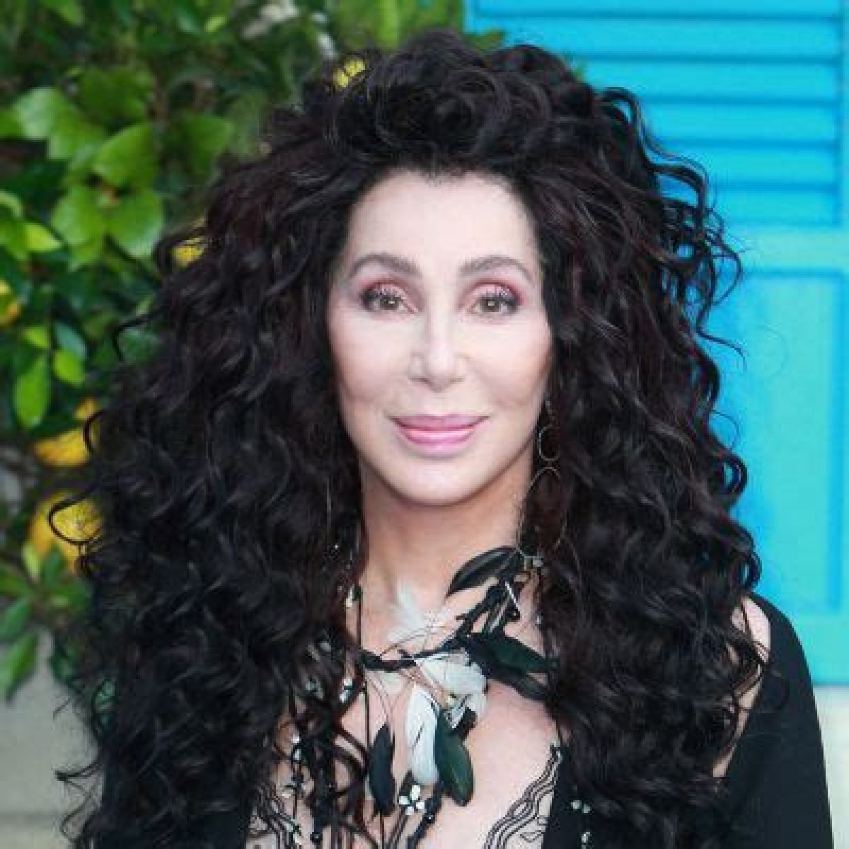 Cher Wiki, Biography, Age, Life, Ethnicity, Height, Weight, Net Worth, Affair, Husband, Partner