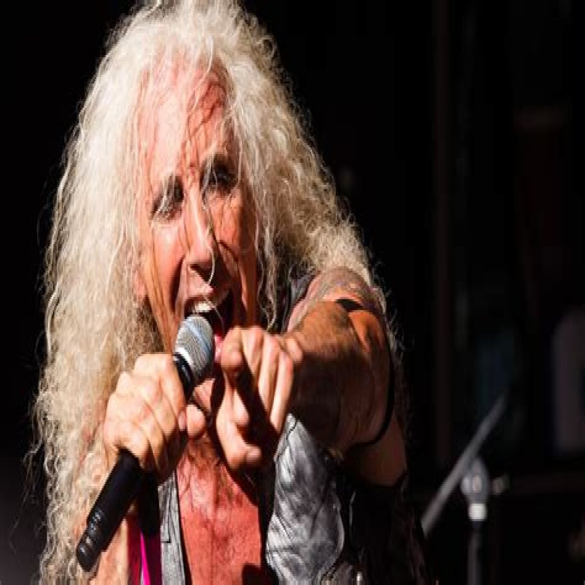 Dee Snider’s; Net Worth: Rise to Success Beyond Twisted Sister