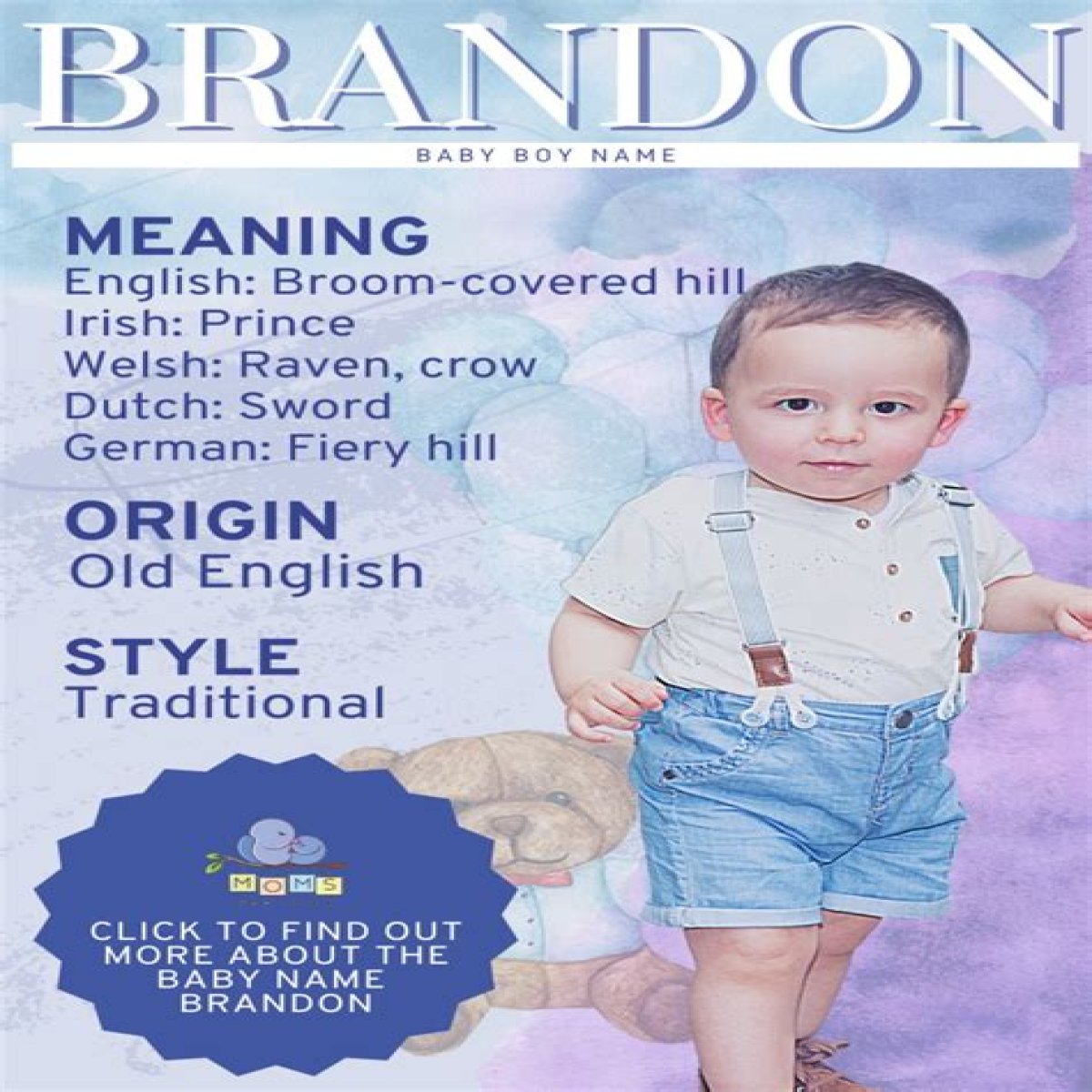 Does Brandon Mean Little Raven? – Janet-Panic.com