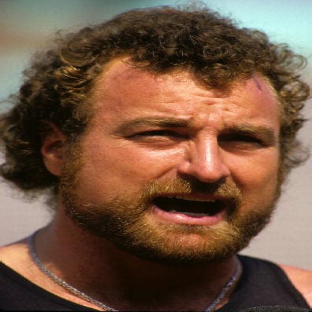 John Matuszak Net Worth, Income, Salary, Earnings, Biography