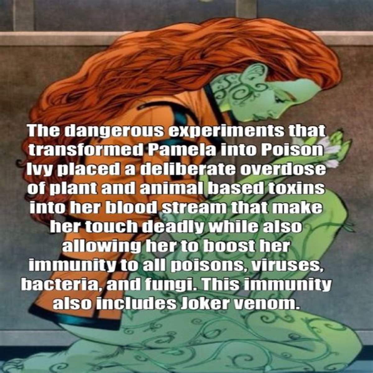 Poison Ivy Character: Fun Facts and Character History