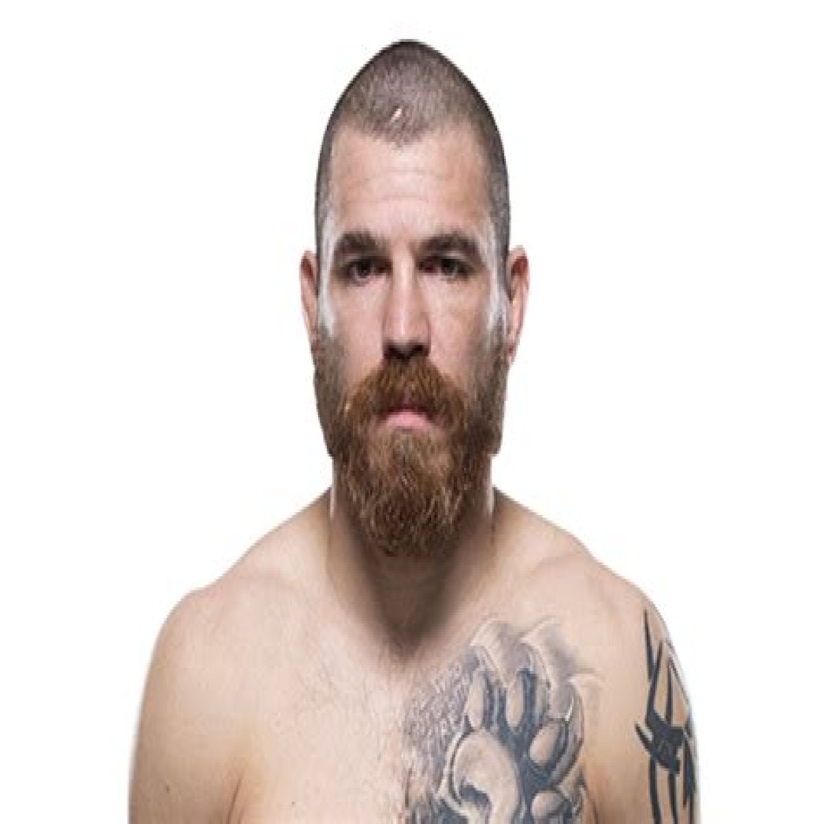 UFC Jim Miller Tattoo: Meaning And Design Explain