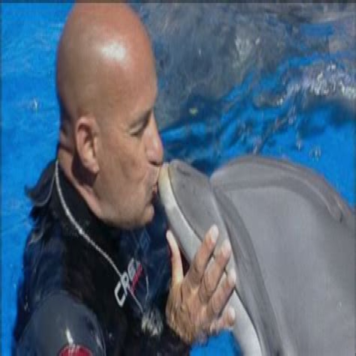 
What Happened To Jose Luis Barbero? The Last Dolphin King Cause Of Death 