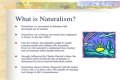 What is naturalism and its characteristics? – Janet-Panic.com