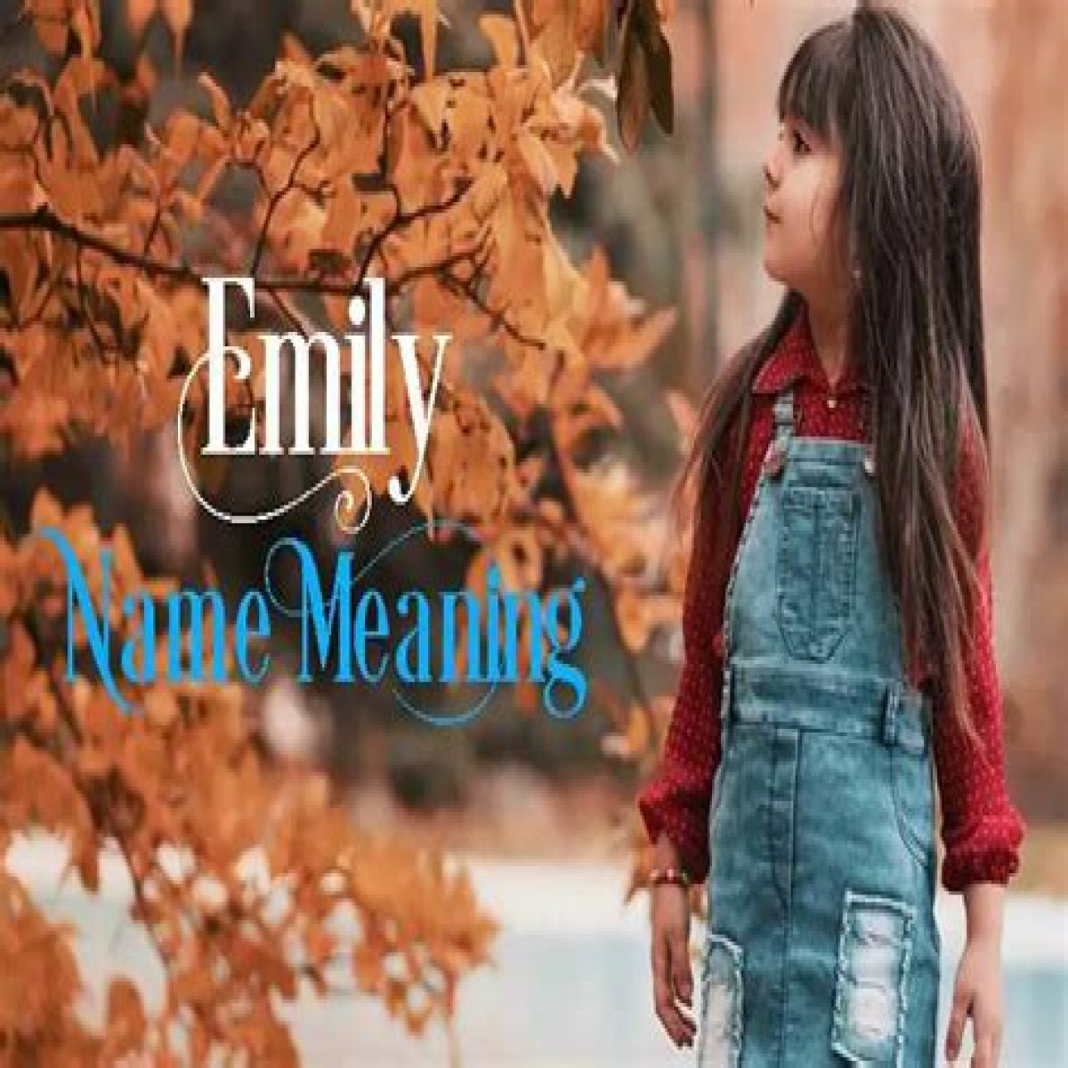 What is the biblical meaning of the name Emily? – Janet-Panic.com